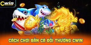 Hướng dẫn chi tiết cách chơi game bắn cá đổi thưởng tại CWIN