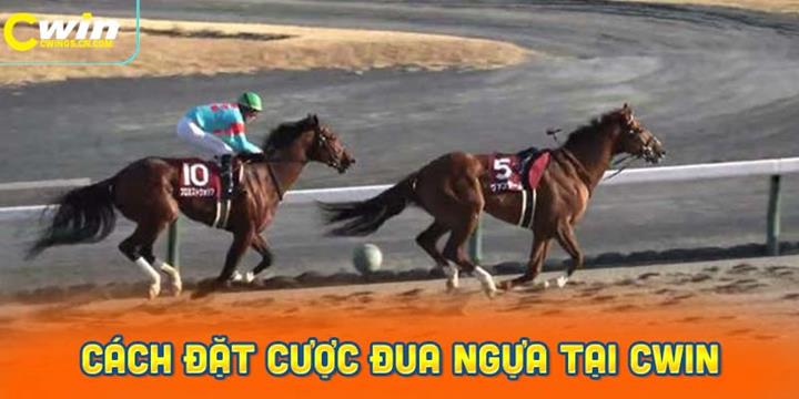 Hướng Dẫn Cách Đặt Cược Đua Ngựa tại nhà cái Cwin05