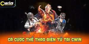 Hướng Dẫn Chơi Cá Cược Thể Thao Điện Tử Tại CWin