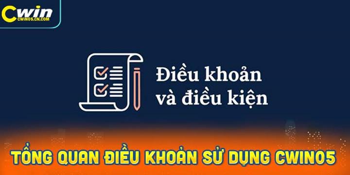 Tổng quan về các điều khoản sử dụng Cwin05 
